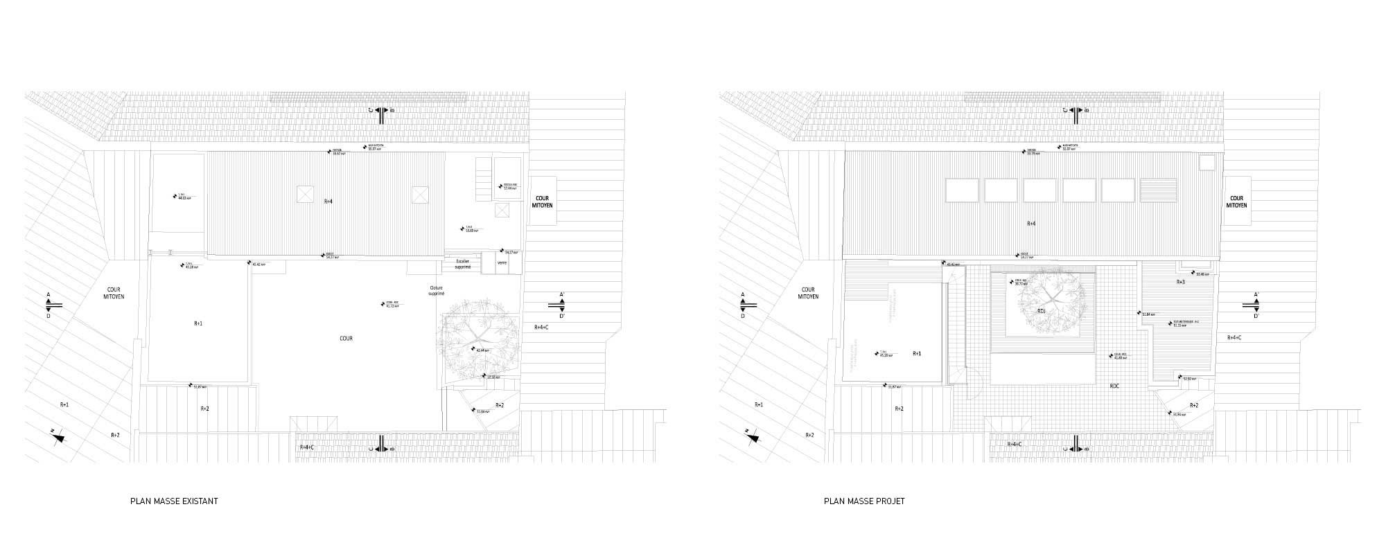 Plan Masse existant et projet