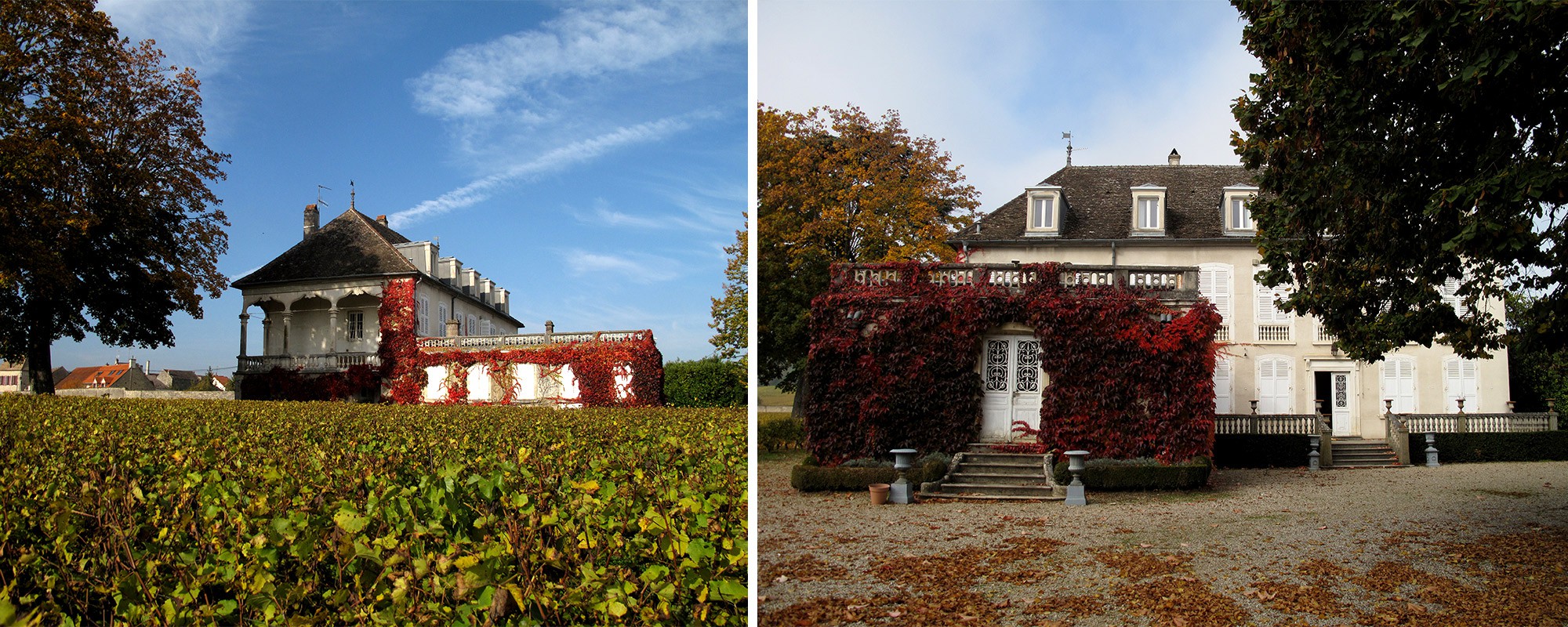 Bandeau-maison-maitre-photo